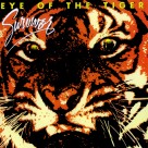 Eye of the Tiger